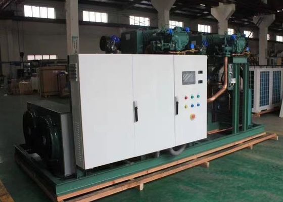 Germany  brand 4EES-6Y (6HP) R404a Air-Cooled Refrigertion Condensing Units usd for Cold Room Refrigeration system