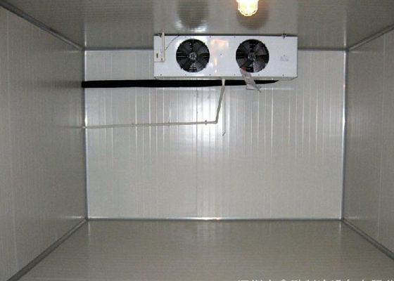 ডান কোণ 380V 220V কোল্ড এবং ফ্রিজার রুম 2.8 * 3.0 * 2.6M ফ্রিজার রুমে ওয়াক ইন করুন